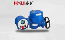 1658961415906907.jpg 電動對夾式蝶閥2.jpg